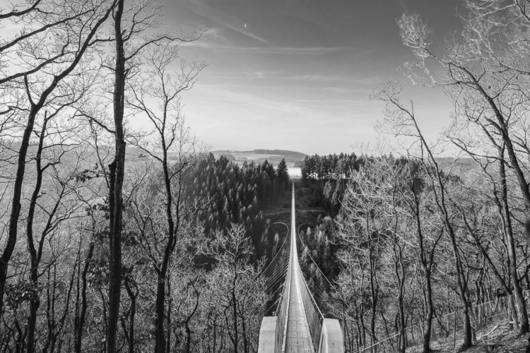 spektakuläre aussicht brücke geierlay in schwarz-weiss