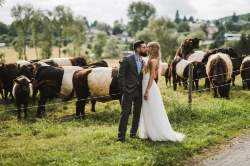 hochzeitsfotograf darmstadt