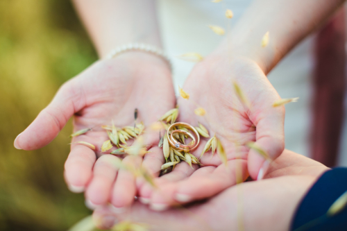 kreatives hochzeitsfoto mit den ringen des Brautpaares